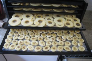 Comment se passe la déshydratation avec un deshdyrateur. Toutes les étapes expliqué: préparation avec ustensiles, séchage au déshydrateur alimentaire et conservation des aliments séchés.