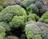 Brocoli