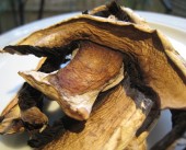 Champignon