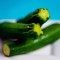 Comment sécher Courgettes