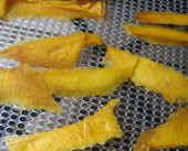 Mangue