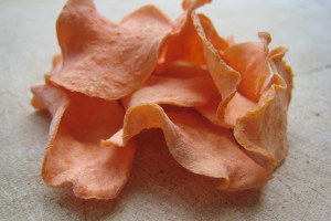 Fruits à sécher de saison. Quels fruits sont mures cette saison pour sécher au déshydrateur électrique.