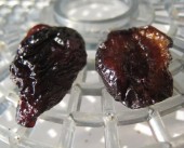 Prune